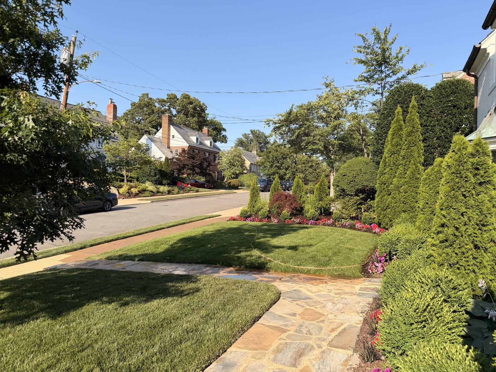 Front walk and street