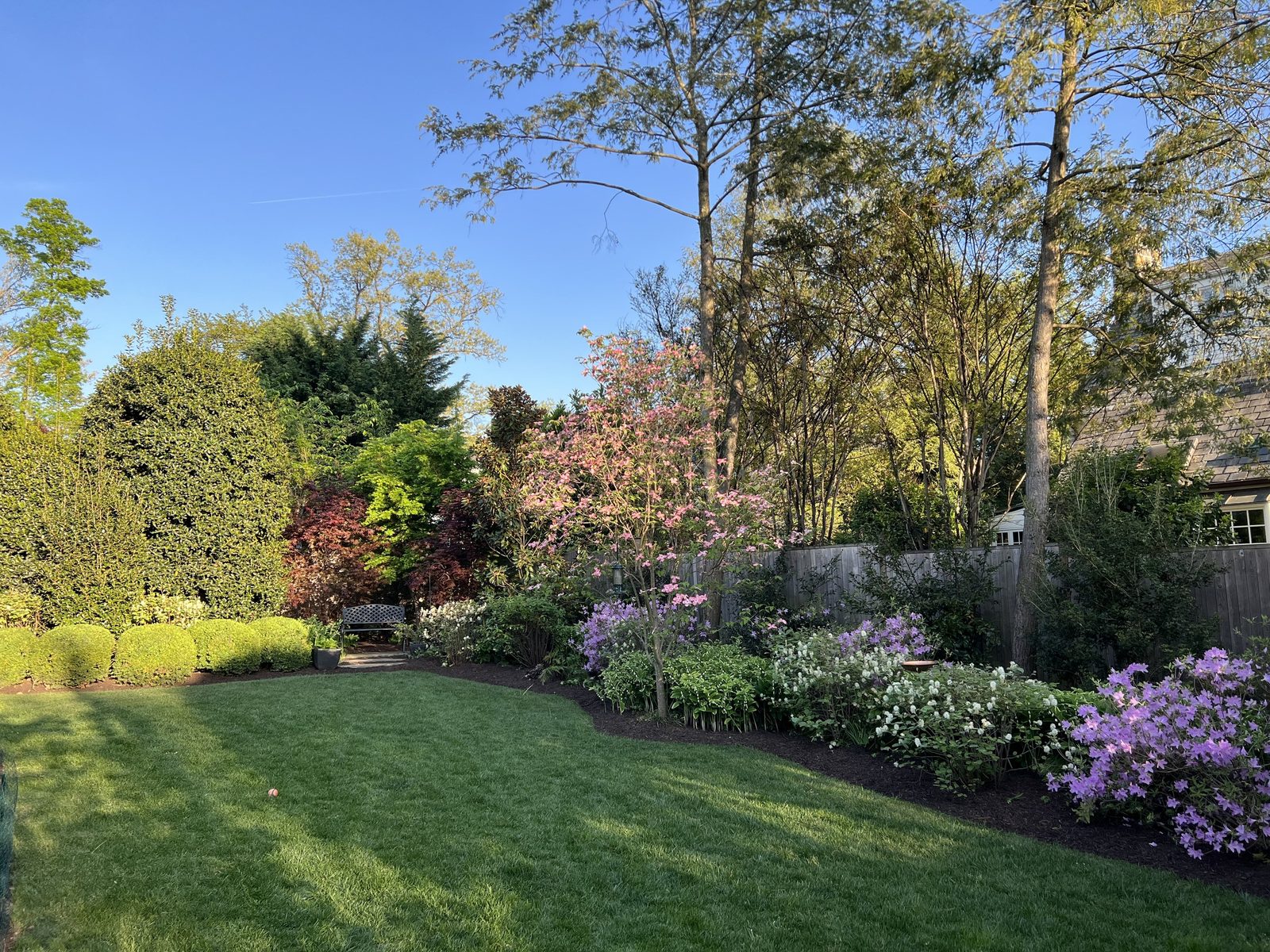 Garden in spring