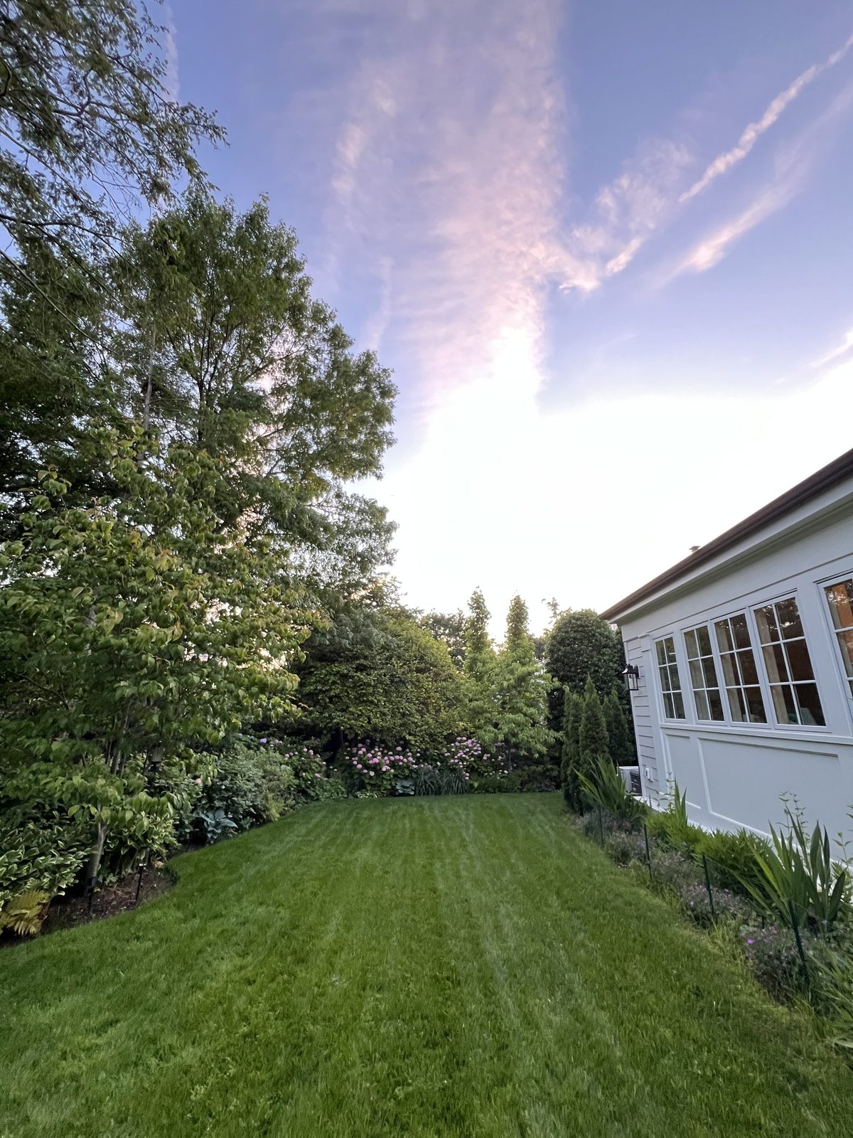 Rear lawn